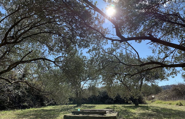 Apartments Enida - Foto 48