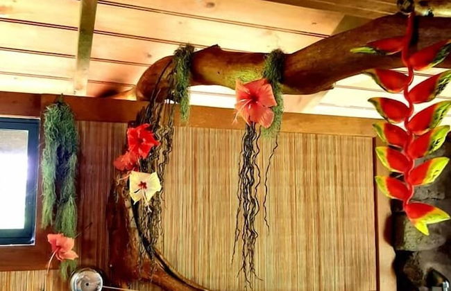 VILLAGE TEMANOHA - Foto 8