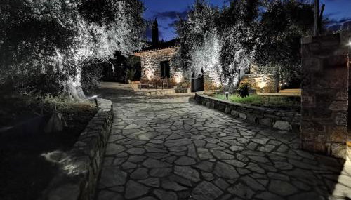 Elaion Thea2-Nies - Foto 5