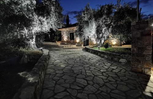 Elaion Thea2-Nies - Foto 5