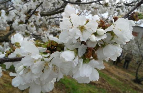 Casa Rural la Vallejera - Foto 85