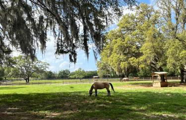 Double D Ranch - Foto 36