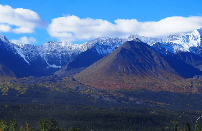 Excursión al Parque Nacional de Kluane - Foto 9