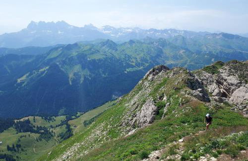 Les Vues de Lily - Châtel - Foto 47