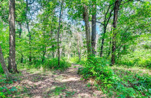 Peaceful Wautoma Retreat with Deck on 10 Acres! - Foto 29