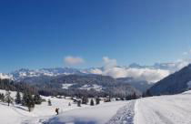 studio cabine Praz de Lys - Foto 20