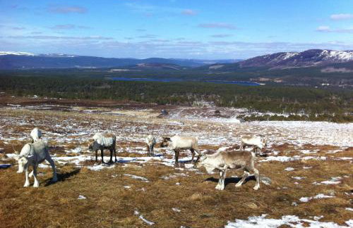 Holiday Home Greenaway by Interhome - Foto 27