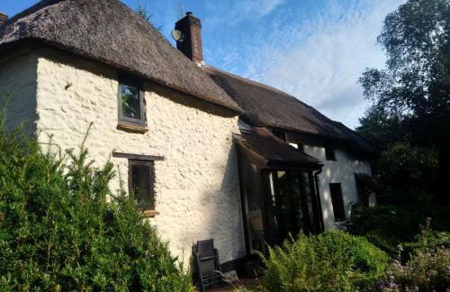 The Woodstore - Foto 5