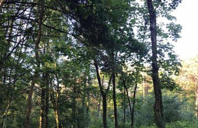 Lodge with log burner Contractors business private parking free Wi-Fi near M4 - Foto 60