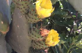 Anna's Stone House - Foto 47