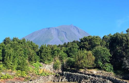 Casa do Almance - Photo 30