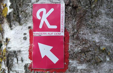 Haus Kellerwald - Ferienwohnung Kellerwald-Edersee - Foto 36