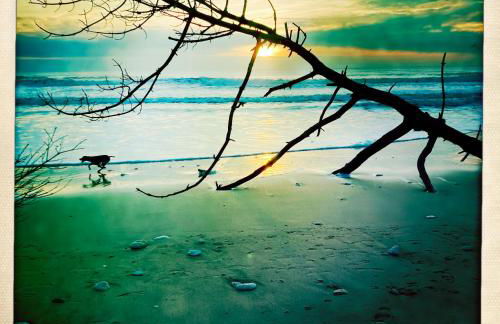 Chai à Vert Bois Oléron - Foto 9