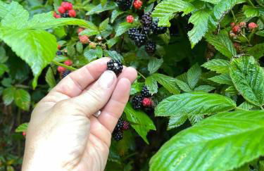 Center Hill Lake Retreat Lake Views, Fire Pit & 400 Yds to Water - Foto 27