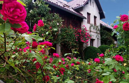 Dom Geologa - Foto 1