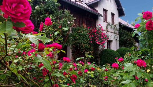 Dom Geologa - Foto 1, Garden