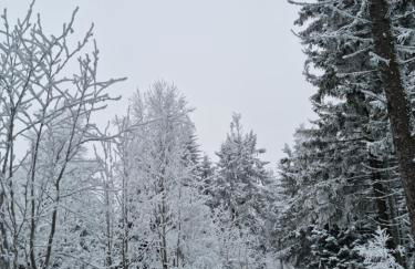 Ferienhaus Ritzmais - Foto 39