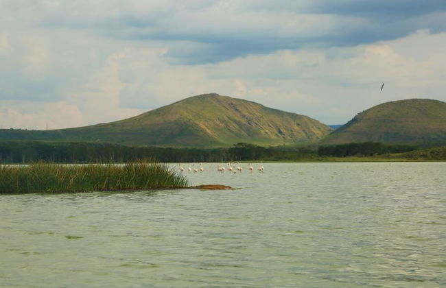 White Thorn Cottages - Foto 14