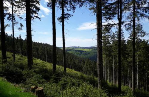 Small and Cozy Apartment in Frauenwald near Forest - Foto 64