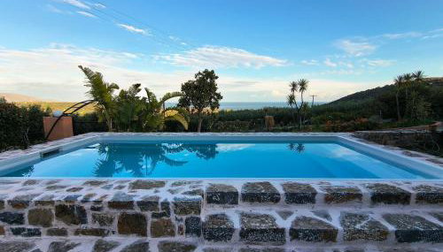 House of Polymnia - Foto 2