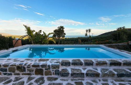 House of Polymnia - Photo 68