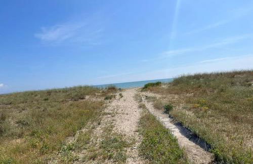 Casa caretta caretta - Foto 19