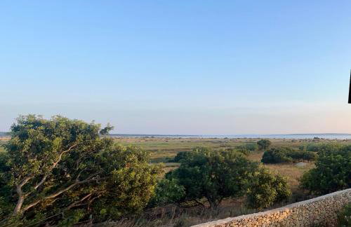 Villa Maslina - Photo 27