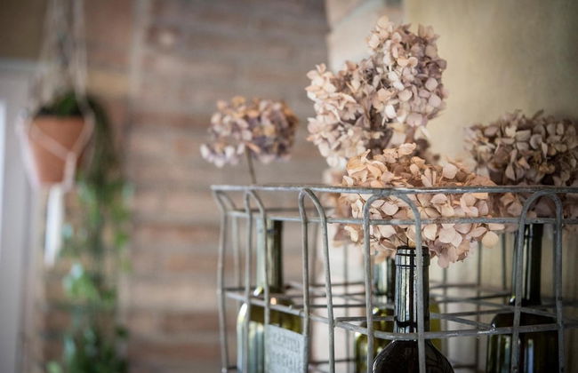 Agricola casa cucina bottega - Photo 41