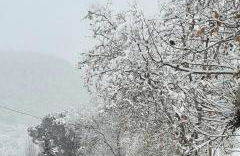 La casa del escudo - Foto 52