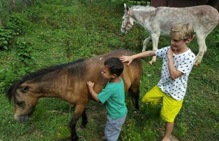 Farmhouse Cabin Getaway near Ozark Forest in Arkansas - Foto 6