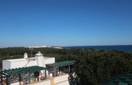 Casa Bambu, Paraiso na Terra - Foto 4