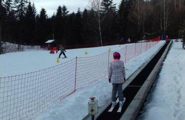 Willa Rytro dom wakacyjny w górach do wynajęcia na wyłączność dla 15 osób - Foto 11