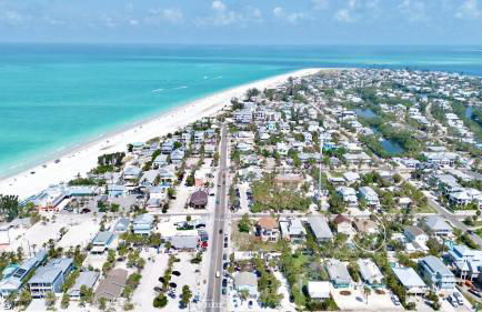 Angelfish (AMV) - Foto 38