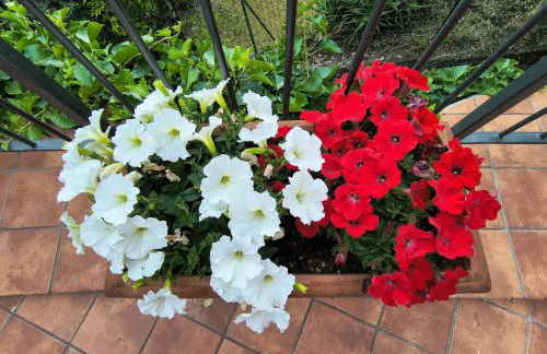 La casetta di Dora - Photo 42