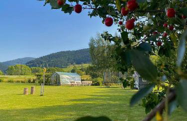 PrzyStań w Gorcach - Photo 6