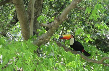 Casinha Charmosa & Rústica - Foto 9