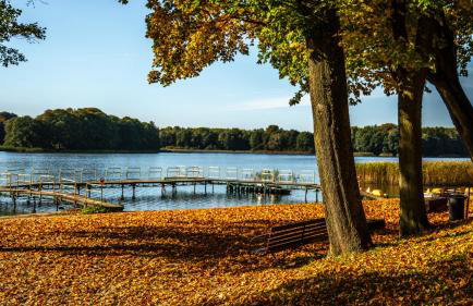Domowy Zakątek - Photo 47