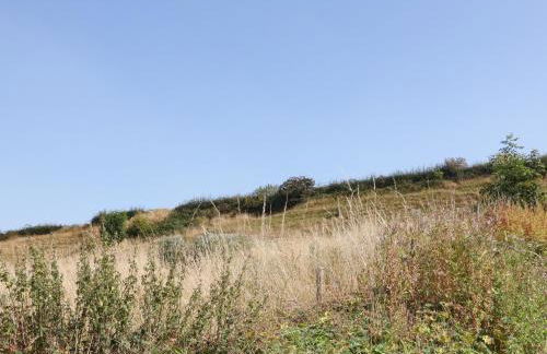 The BungalowBarlow - Foto 32