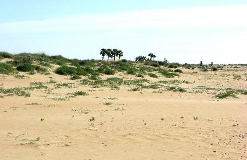 Apartamentos Calypso - Foto 51