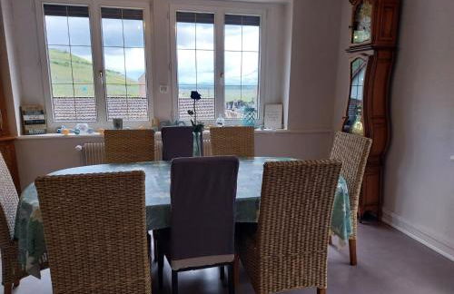 Les Hirondelles du MAMBOURG - Foto 40