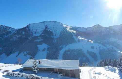 Holiday Apartment Schwärzler - Foto 19