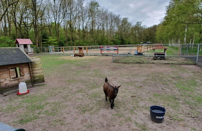 Serene Chalet in Schoonloo With Patio - Foto 11