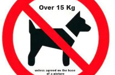 Villa Minghetti - Foto 36