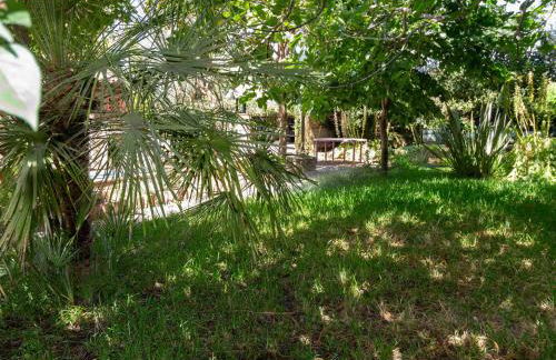 Viña Chica - Foto 15