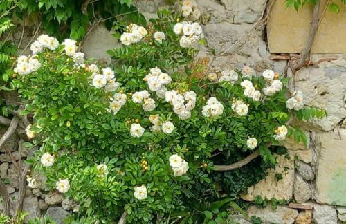 Château Tour du XIII siècle Gazaupouy - Photo 57