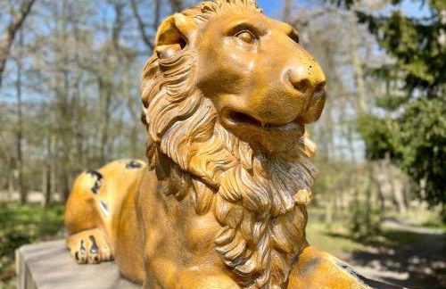 Ferienwohnung Bertchen - barrierefrei mit Südterrasse und Carport in ruhiger Altstadtlage von Ballenstedt - Foto 28