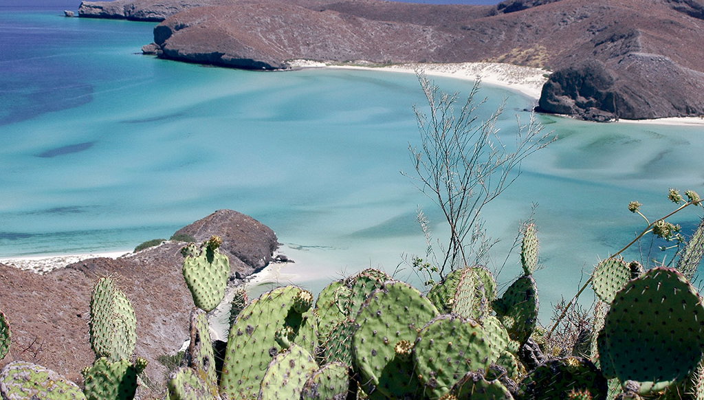 Mangroves and Beaches Tour - Photo 1
