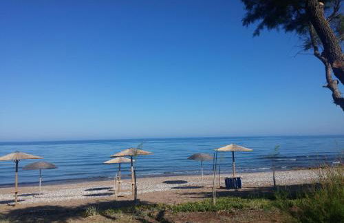 Irida Beach Resort Suites - Foto 69