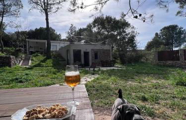 Stone Garden, Casa en plena naturaleza - Foto 58