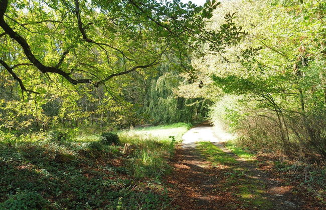 Attractive Holiday Home in Marche-en-famenne With Garden - Foto 13